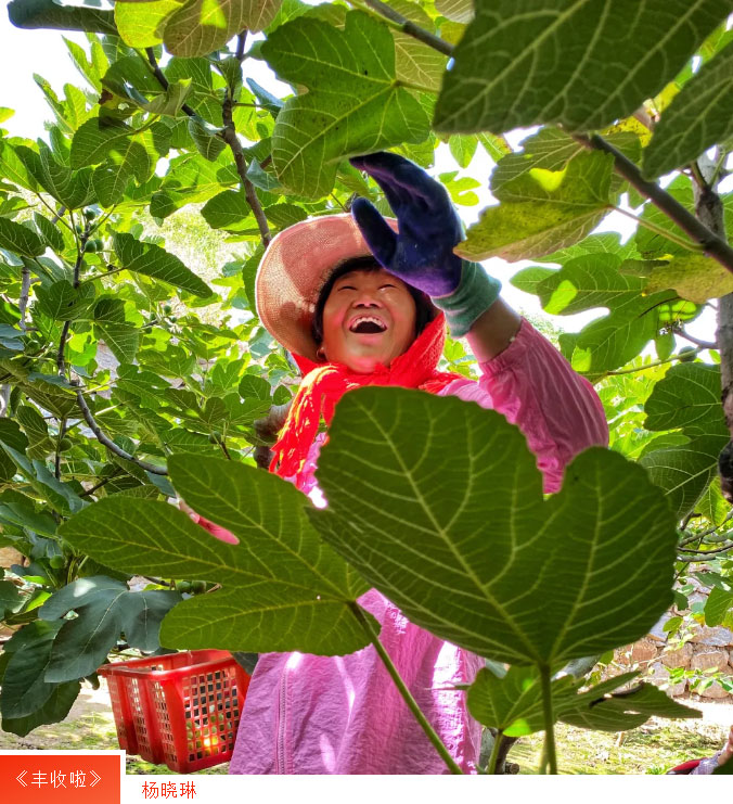 �����(�й���)���޹�˾����