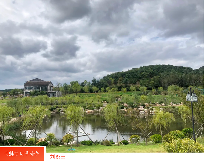 �����(�й���)���޹�˾����