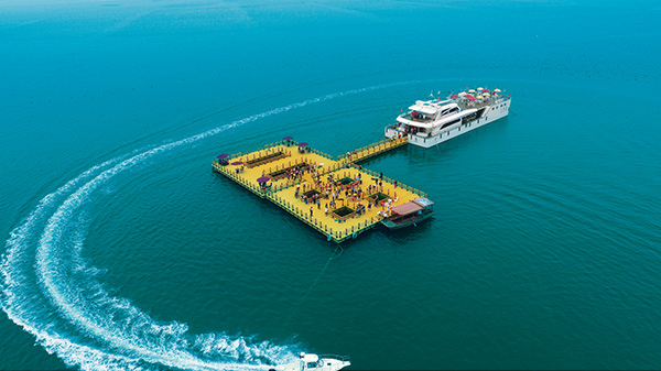 �����(�й���)���޹�˾����