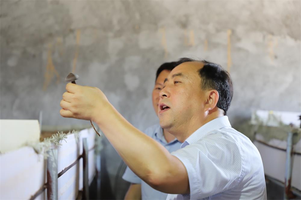 �����(�й���)���޹�˾����