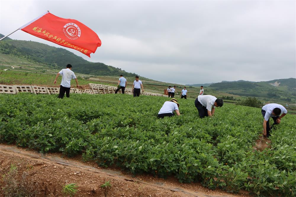 �����(�й���)���޹�˾����