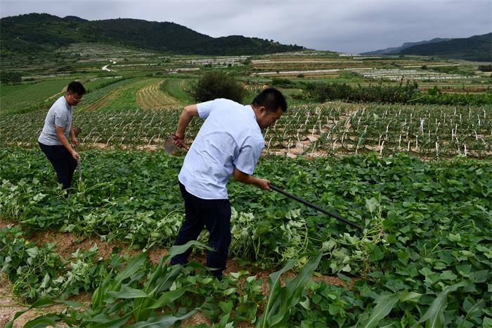 �����(�й���)���޹�˾����