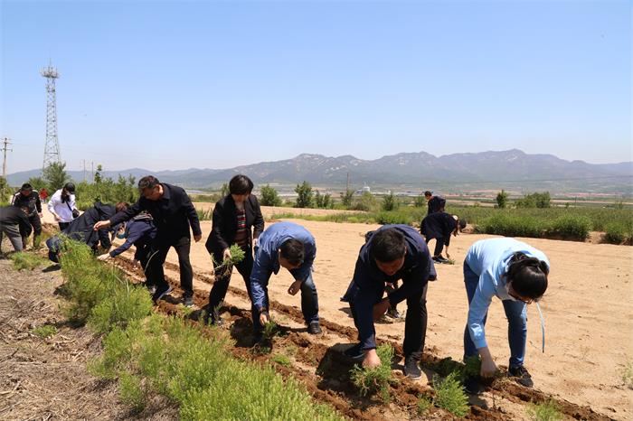 �����(�й���)���޹�˾����