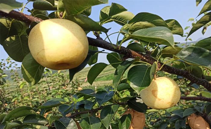 �����(�й���)���޹�˾����