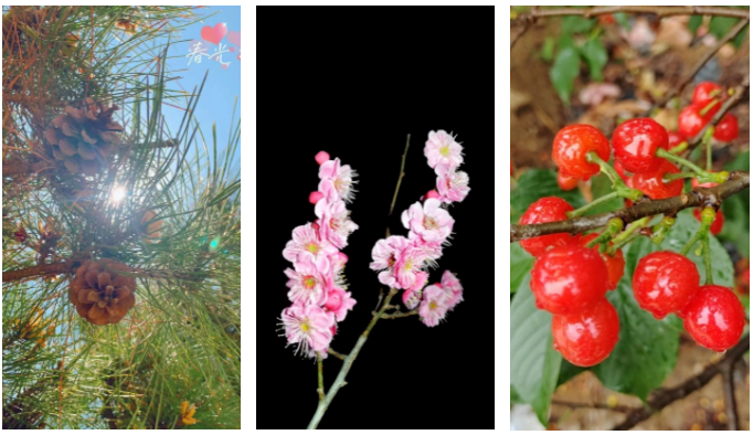 �����(�й���)���޹�˾����