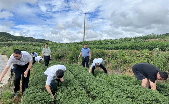 �����(�й���)���޹�˾����