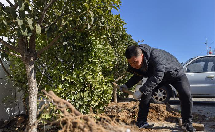 �����(�й���)���޹�˾����