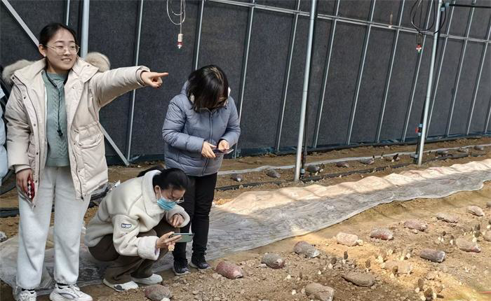 �����(�й���)���޹�˾����