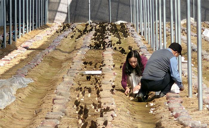 �����(�й���)���޹�˾����