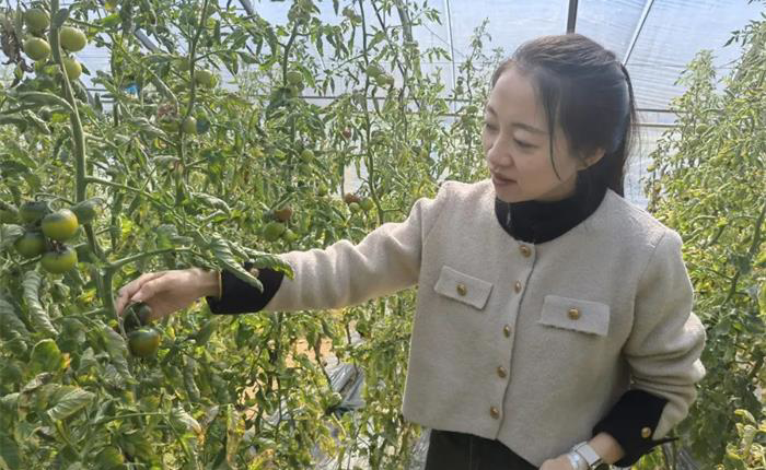 �����(�й���)���޹�˾����