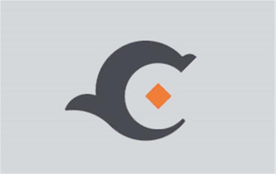 �����й�����Դ��Ӫ���޹�˾��ί�ٿ�Ѳ������ר���������Ļ�