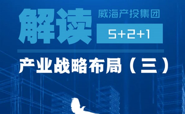 �����Ͷս�Խṹ֮����һ������ƽ̨ϵͳ������������