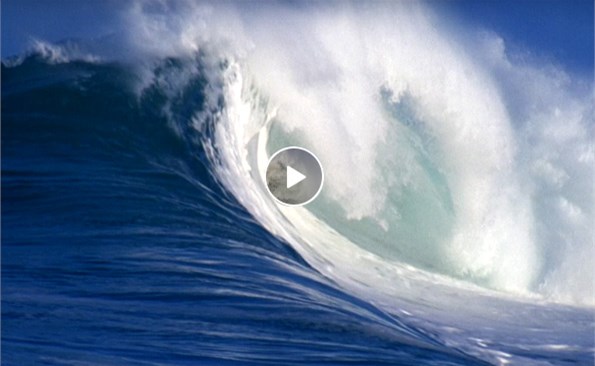 ������Ͷ����Ƭ