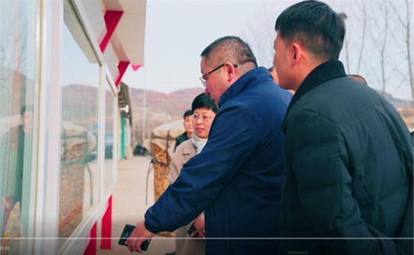 ��ΪȺ�ڰ�ʵ��