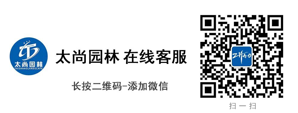 1-200404215204326 尊龙凯时 - 人生就是搏!
